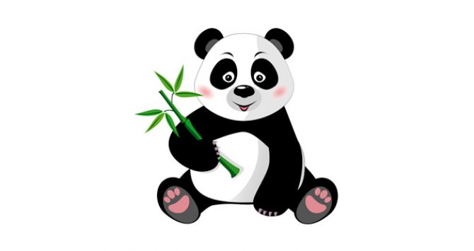 The SEO Zoo – how to Avoid Pandas and Penguins?